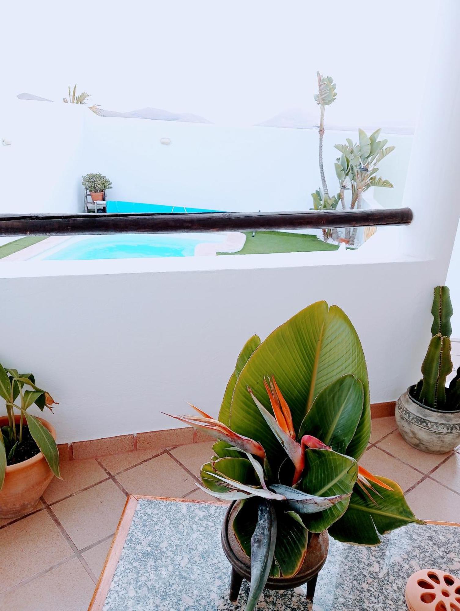 Nazaret Casa Strelitziaヴィラ エクステリア 写真